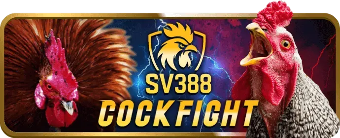 Tài liệu pháp lý của hit club 2026